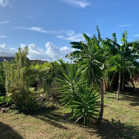 Gite Face A La Mer Des Caraibes Sainte-Rose Exterior foto