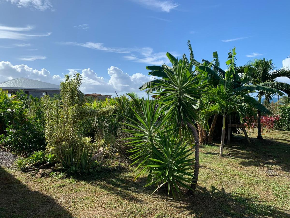 Gite Face A La Mer Des Caraibes Sainte-Rose Exterior foto